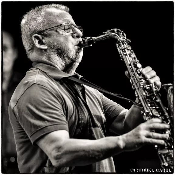 imatge artista/instrument