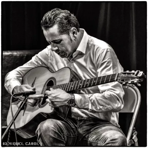 imatge artista/instrument