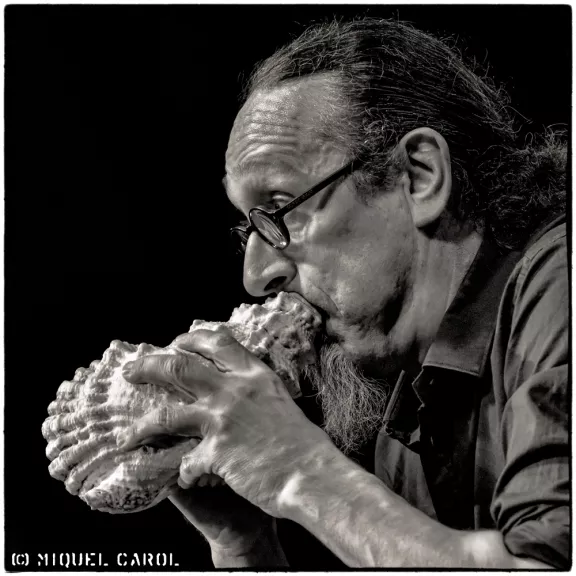 imatge artista/instrument