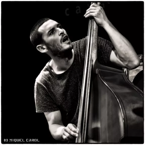 imatge artista/instrument