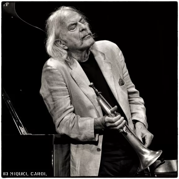 imatge artista/instrument