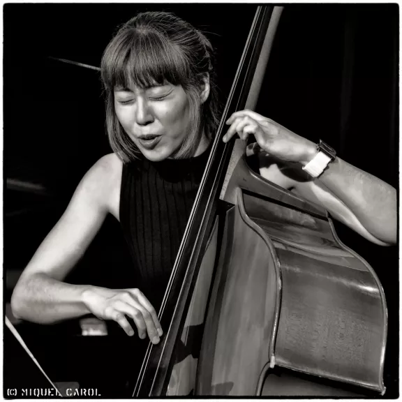 imatge artista/instrument