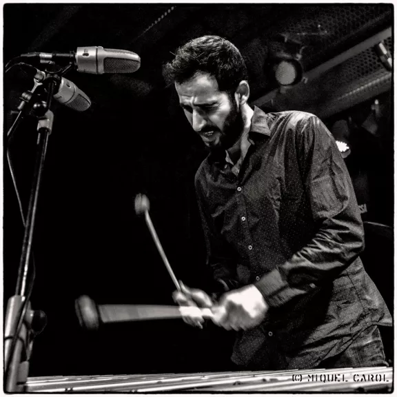 imatge artista/instrument