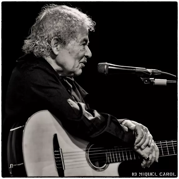 imatge artista/instrument