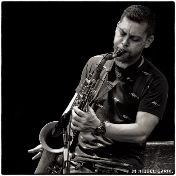 imatge artista/instrument