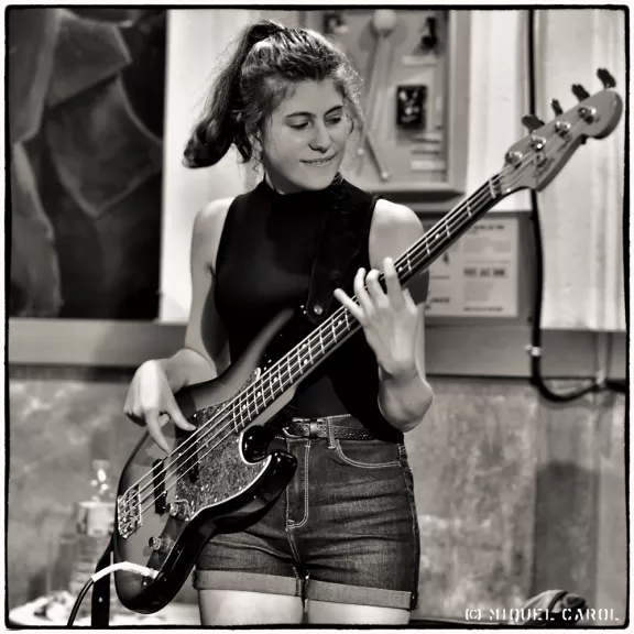 imatge artista/instrument