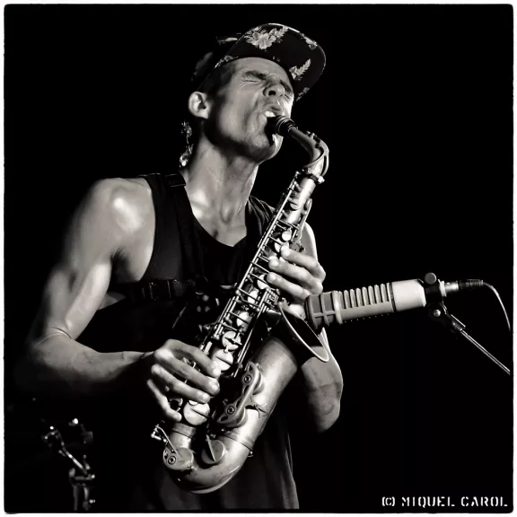 imatge artista/instrument