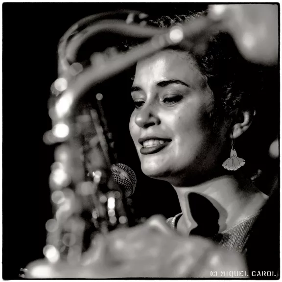 imatge artista/instrument