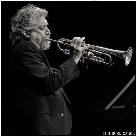 imatge artista/instrument