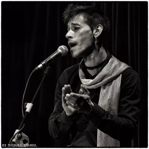 imatge artista/instrument