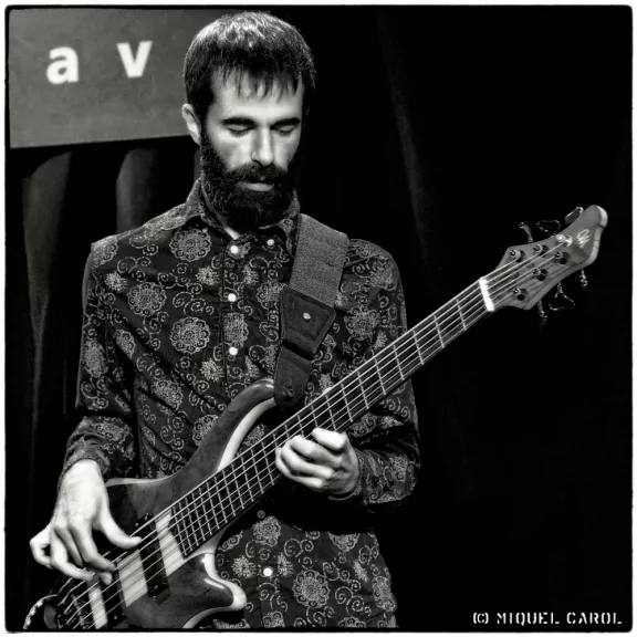 imatge artista/instrument