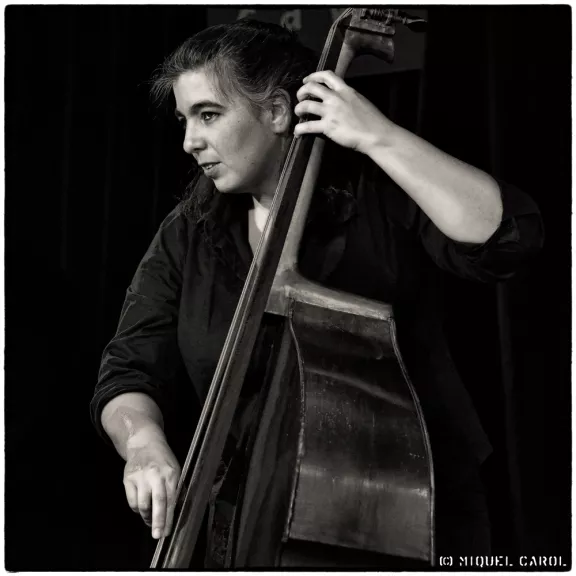 imatge artista/instrument