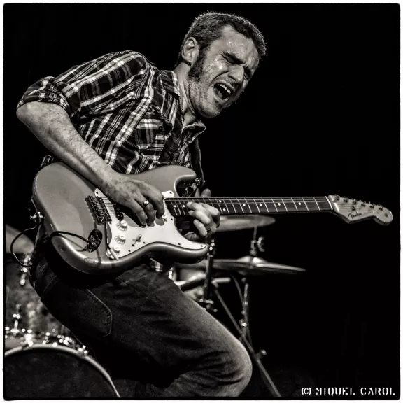 imatge artista/instrument