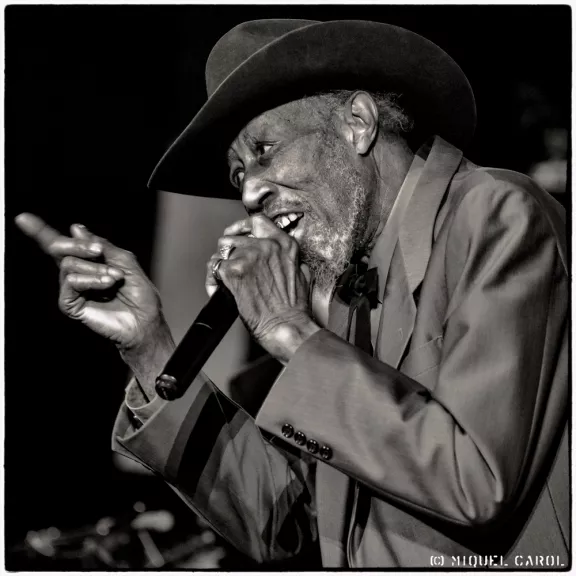 imatge artista/instrument