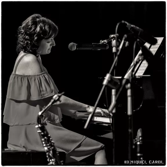 imatge artista/instrument