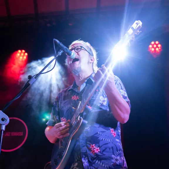 imatge artista/instrument