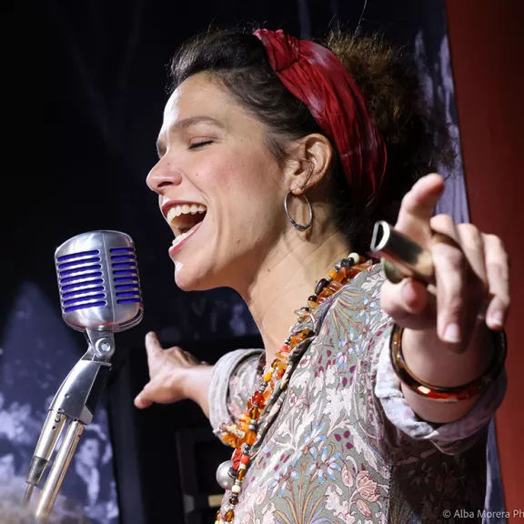 imatge artista/instrument