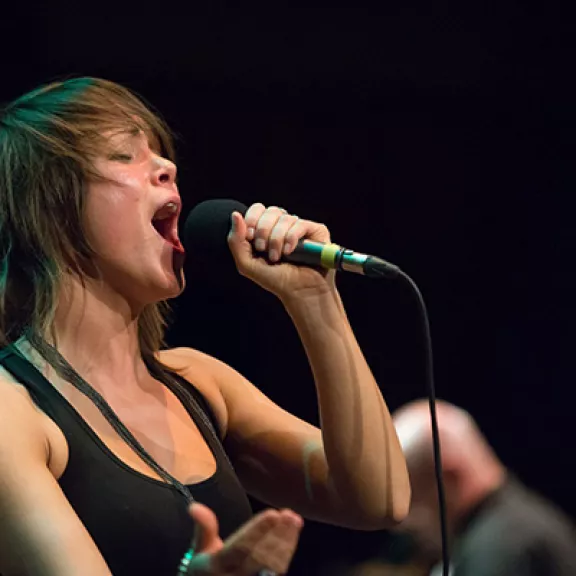 imatge artista/instrument