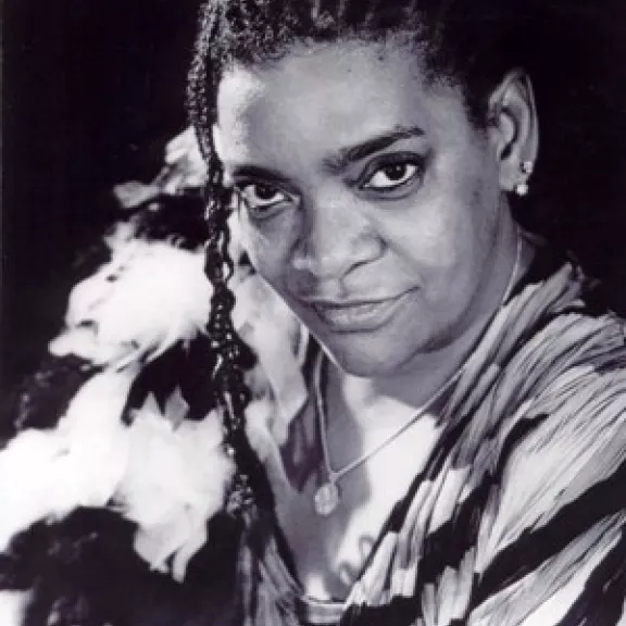 imatge artista/instrument