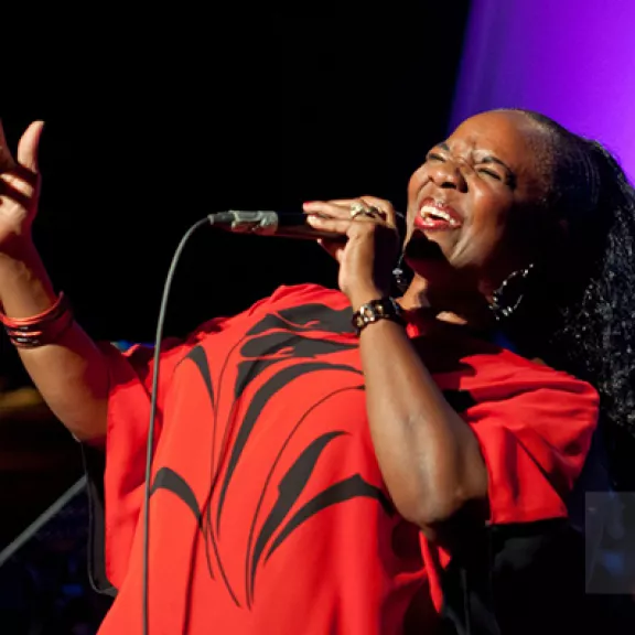 imatge artista/instrument