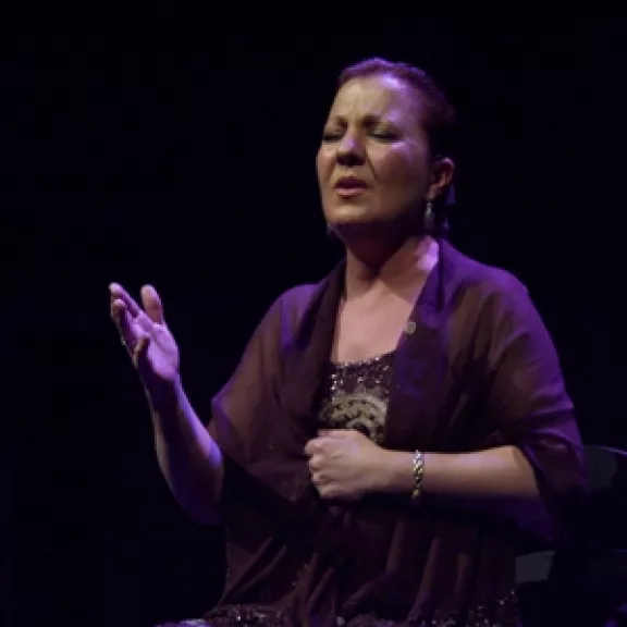 imatge artista/instrument