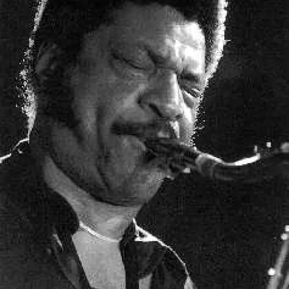 imatge artista/instrument