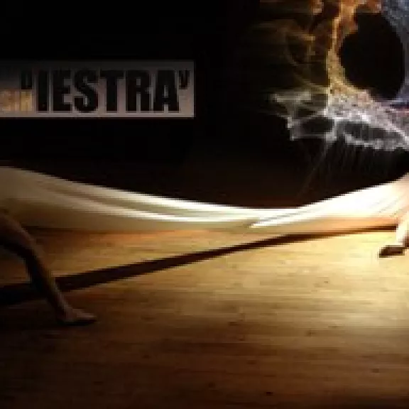 imatge artista/instrument