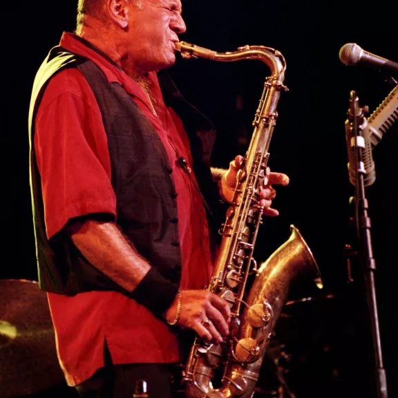 imatge artista/instrument