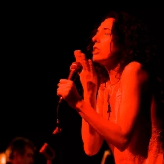 imatge artista/instrument