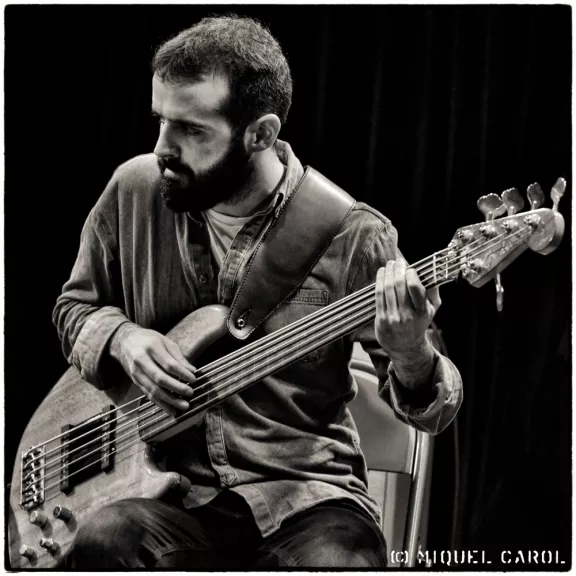 imatge artista/instrument