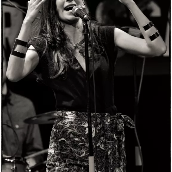 imatge artista/instrument