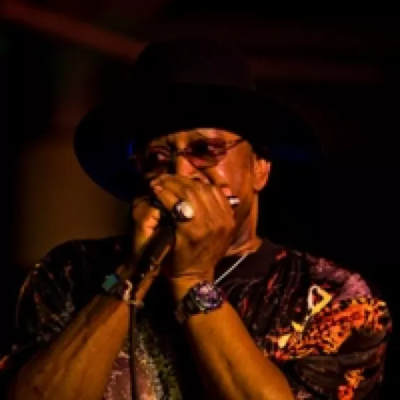 imatge artista/instrument