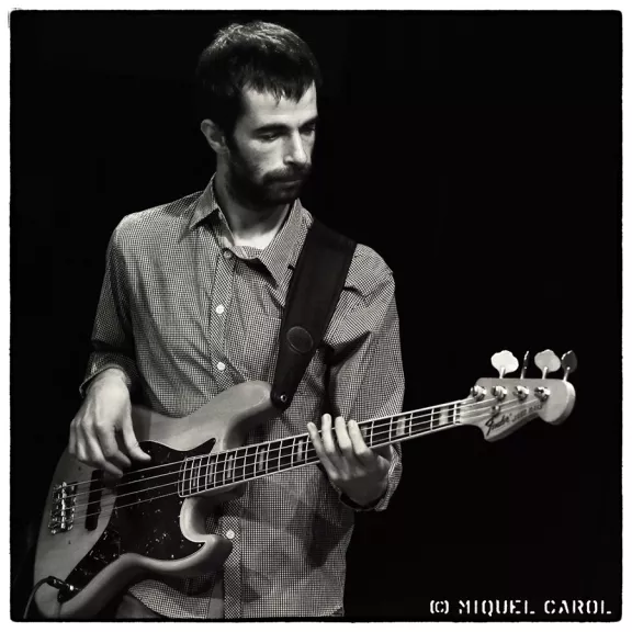 imatge artista/instrument