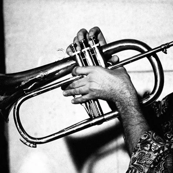 imatge artista/instrument