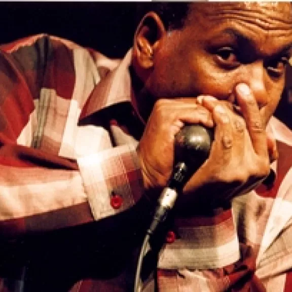 imatge artista/instrument