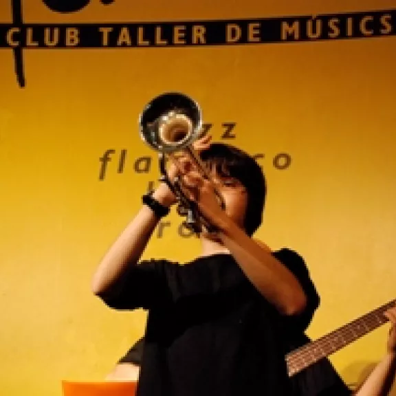 imatge artista/instrument