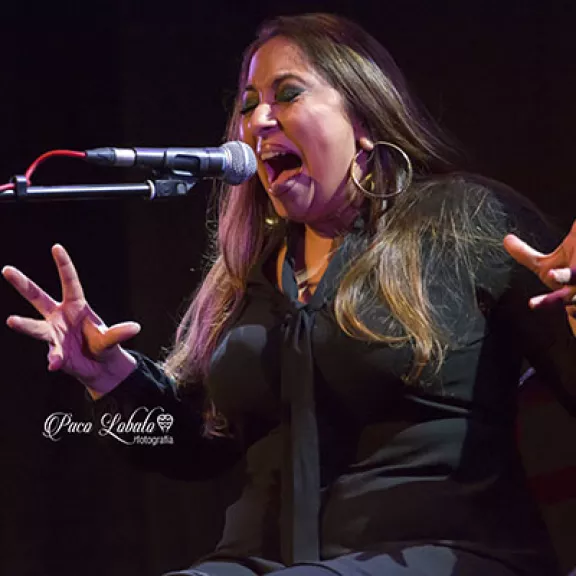 imatge artista/instrument