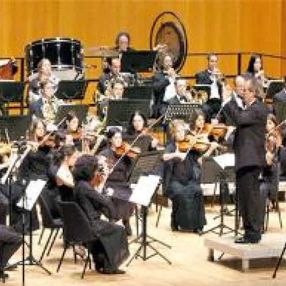 imatge artista/instrument