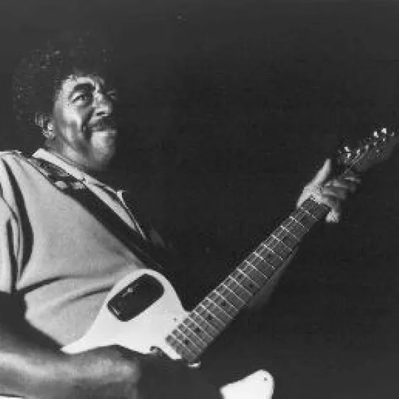 imatge artista/instrument