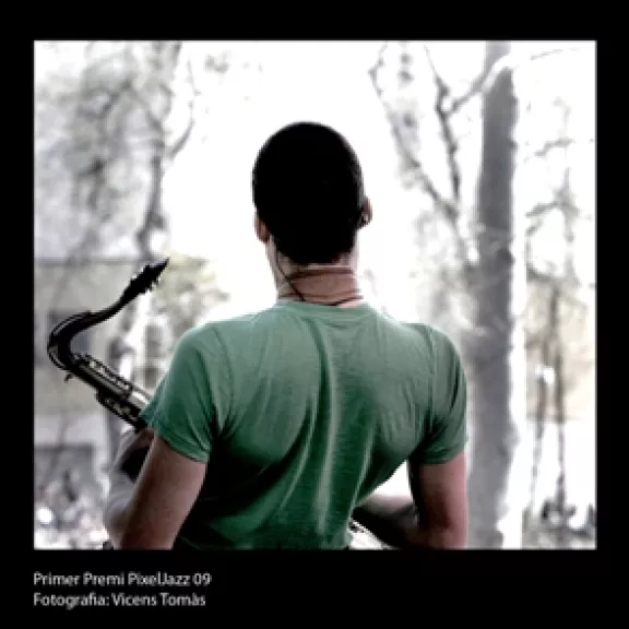 imatge artista/instrument