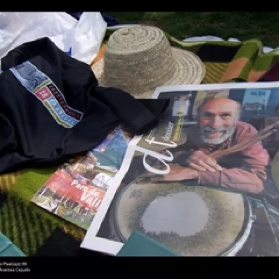 imatge artista/instrument