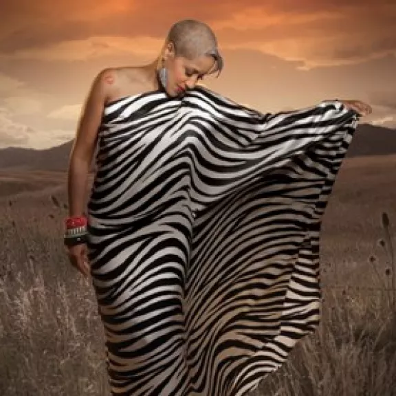 imatge artista/instrument