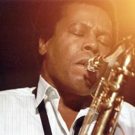 imatge artista/instrument